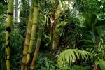 Botanick zahrada Liberec 
